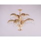 QZ1916 PALME HARROLDS